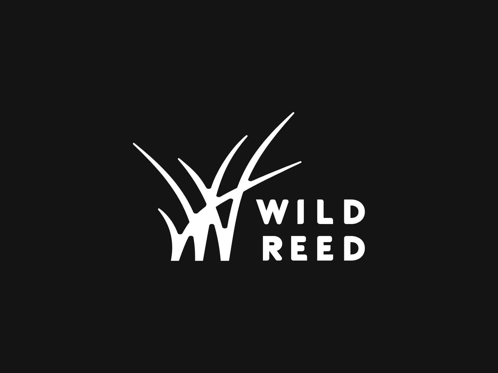 The Wild Reed Yoga logo: reed strokes forming a W beside the words Wild Reed, white on black